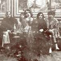 Lobos, Raposas E Coiote