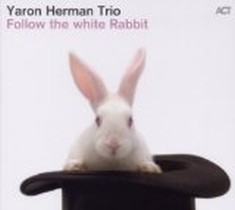 Follow the White Rabbit